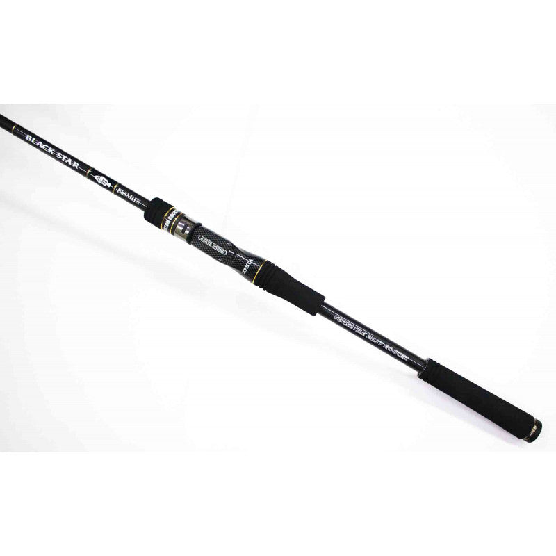 XESTA spiningas Black Star Hard B72MHX (Casting) 2,17m 5-35g