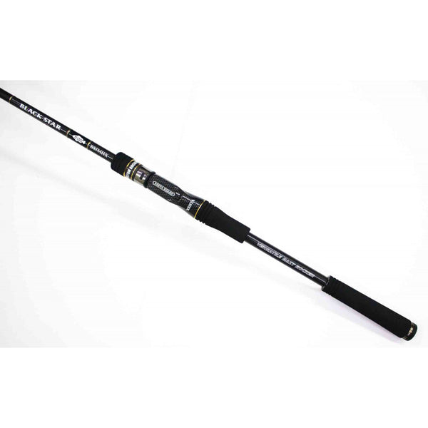 XESTA spiningas Black Star Hard B72MHX (Casting) 2,17m 5-35g