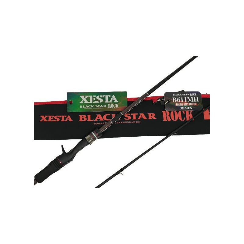XESTA spiningas Black Star Rock B611MH 2,14m 10-35g casting
