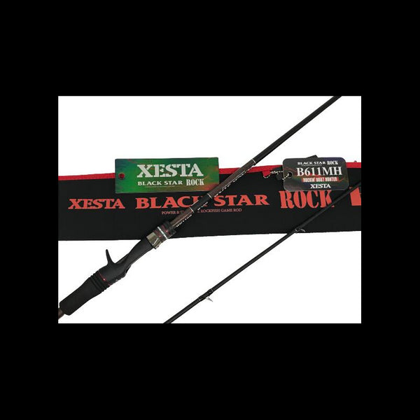 XESTA spiningas Black Star Rock B611MH 2,14m 10-35g casting